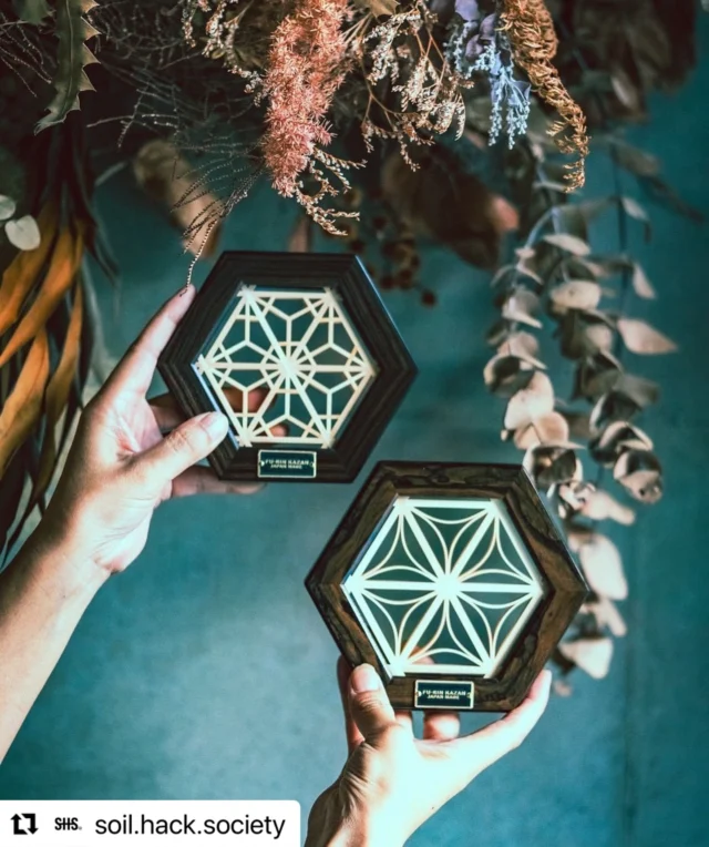 ヘキサコースター（皐月） | FU-RIN KAZAN