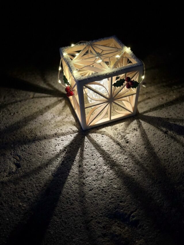 ヘキサコースター（竜胆） | FU-RIN KAZAN