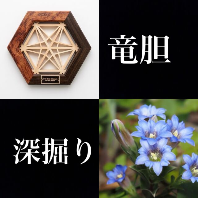 ヘキサコースター（新七宝） | FU-RIN KAZAN