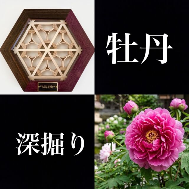ヘキサコースター（皐月） | FU-RIN KAZAN